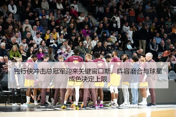 独行侠冲击总冠军迎来关键窗口期，阵容磨合与球星成色决定上限